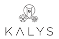 boutique-en-ligne-KALYS